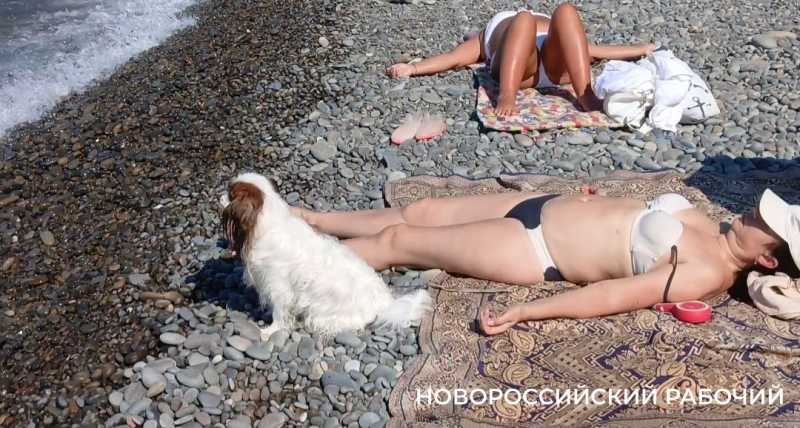 Глотать или не глотать? В Новороссийске море прогрелось до + 27