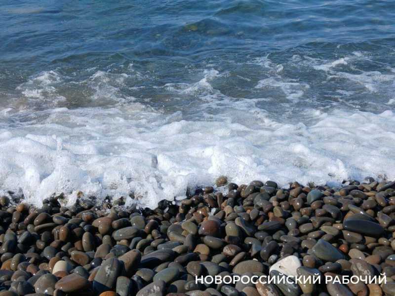 Глотать или не глотать? В Новороссийске море прогрелось до + 27
