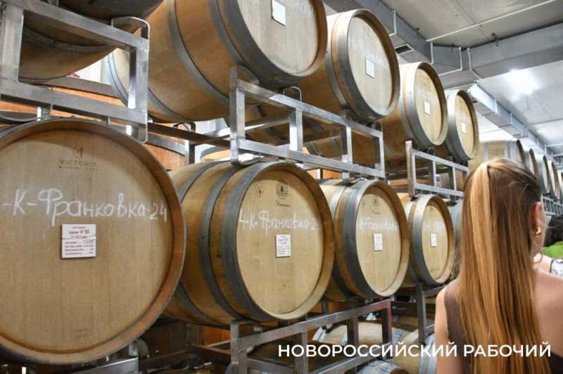 Интересна история не только вина, но и винодела. Куда поехать отдохнуть из Новороссийска