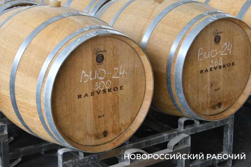 Интересна история не только вина, но и винодела. Куда поехать отдохнуть из Новороссийска