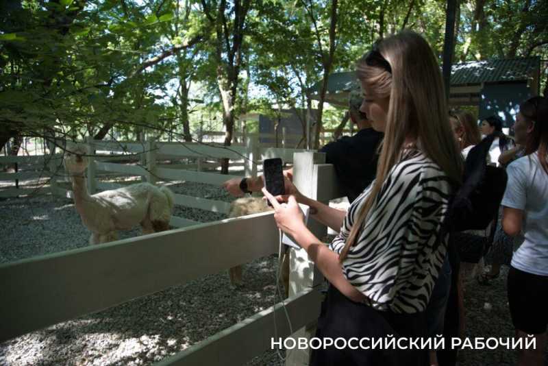 Исполнить желание послать все на… и побегать за толстыми овцами. Куда поехать отдохнуть из Новороссийска