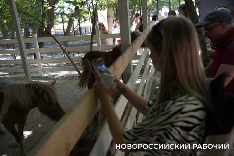 Исполнить желание послать все на… и побегать за толстыми овцами. Куда поехать отдохнуть из Новороссийска