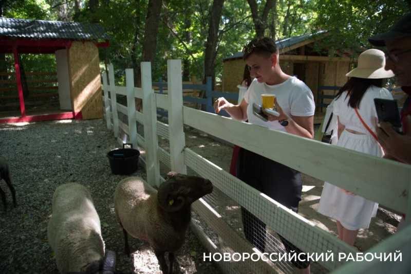 Исполнить желание послать все на… и побегать за толстыми овцами. Куда поехать отдохнуть из Новороссийска