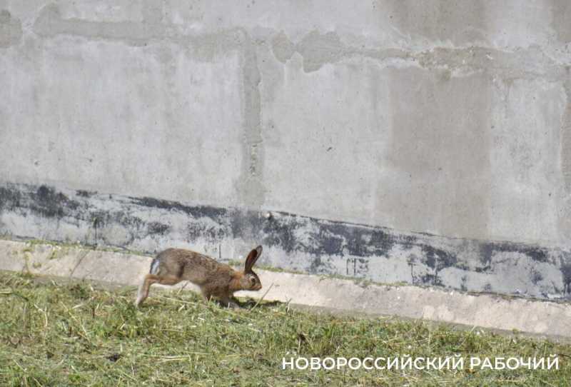 КТК поделился с общественниками опытом контроля за чистотой воздуха в Новороссийске