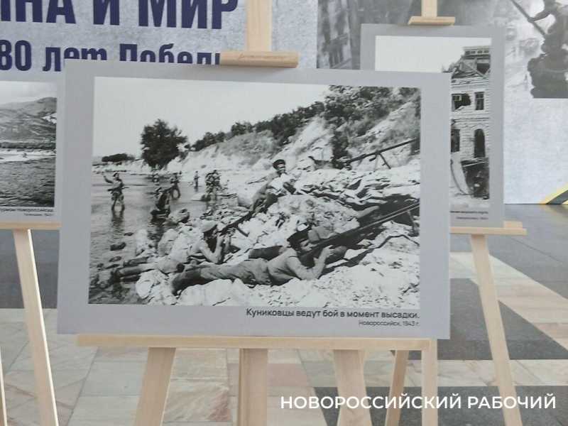 Куниковцы, &laquo;ночные ведьмы&raquo;, тренировка десанта &ndash; как Евгений Халдей снимал Новороссийск