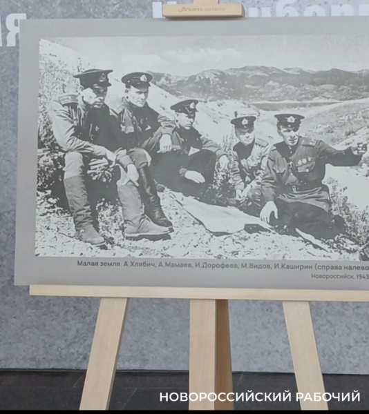 Куниковцы, &laquo;ночные ведьмы&raquo;, тренировка десанта &ndash; как Евгений Халдей снимал Новороссийск