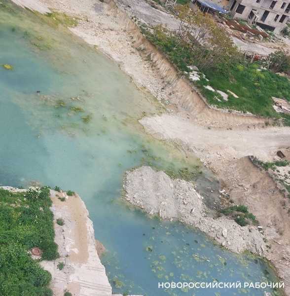 &laquo;Лягушки квакают всю ночь!&raquo; В спальном районе Новороссийске осушат &laquo;болото&raquo;