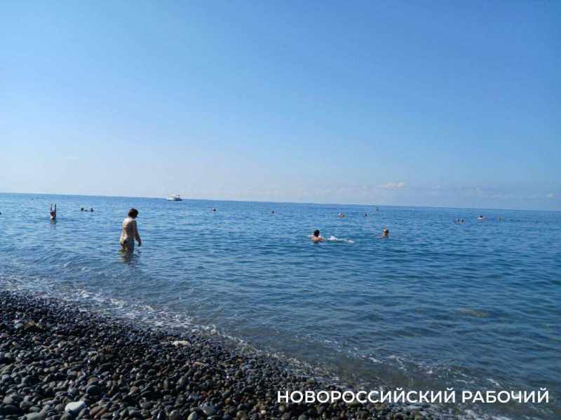 На пляжах Новороссийска детей учат пускать пузыри и постоянно кормят