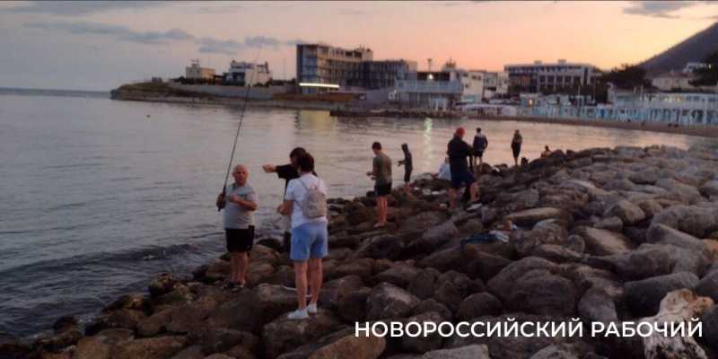 На пляжах Новороссийска «платная тень» ждет поклонников