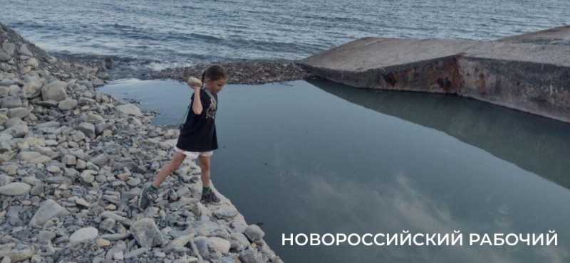 На пляжах Новороссийска за самовольное занятие шезлонгов установили жесткий штраф