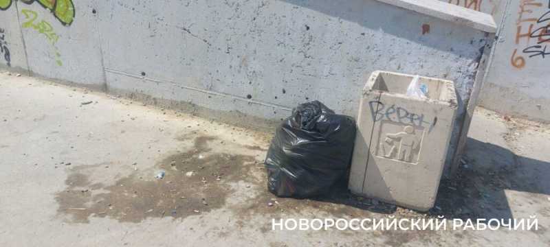 «На пляже полотенце положить некуда!» В Новороссийске не осталось места для бесплатного отдыха у моря?