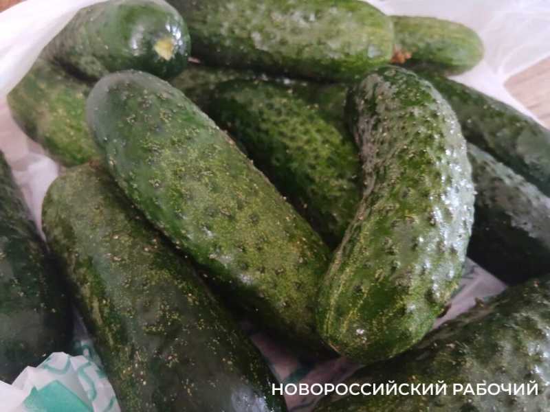 На рынке Новороссийска овощи отдают бесплатно, а в супермаркетах торгуют гнилыми