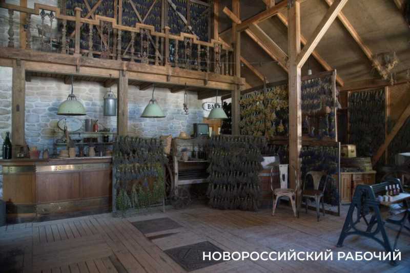 Натурпродукт со вкусом и запахом Прованса. Куда поехать отдохнуть из Новороссийска?