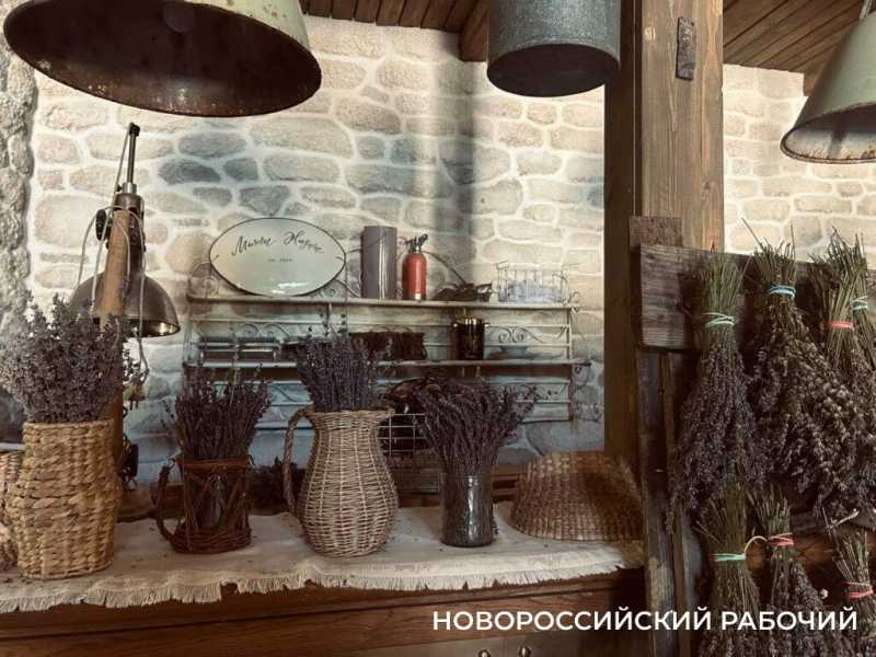 Натурпродукт со вкусом и запахом Прованса. Куда поехать отдохнуть из Новороссийска?