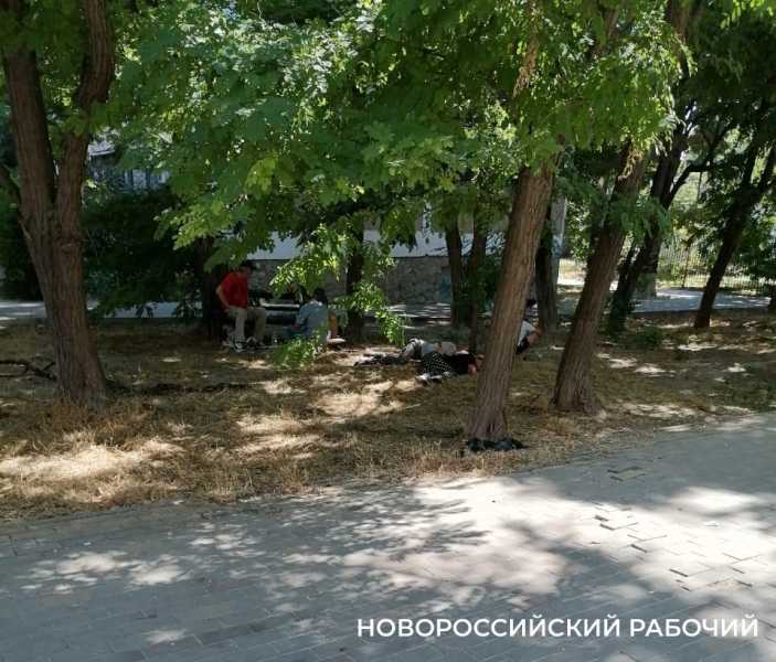 Пьют и матерятся на глазах у детей! В Новороссийске аллея рядом с детсадом и  школой превратилась в забегаловку