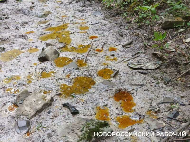 Под Новороссийском из-под земли выступает загадочная жидкость с запахом солярки