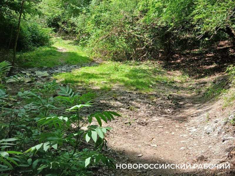 Под Новороссийском из-под земли выступает загадочная жидкость с запахом солярки