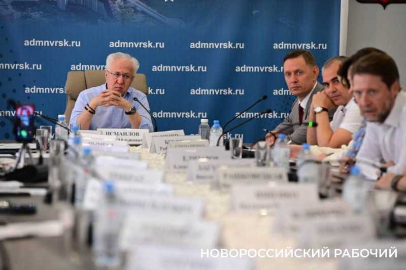 «Российское экологическое общество» попросили защитить «краснокнижный лес» у свалки в Новороссийске