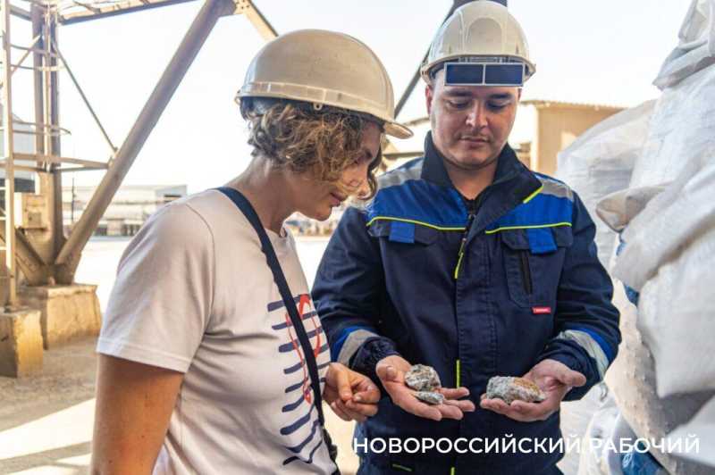 Сегодня – День металлурга! Как в Новороссийске из лома растят «металлические деревья»