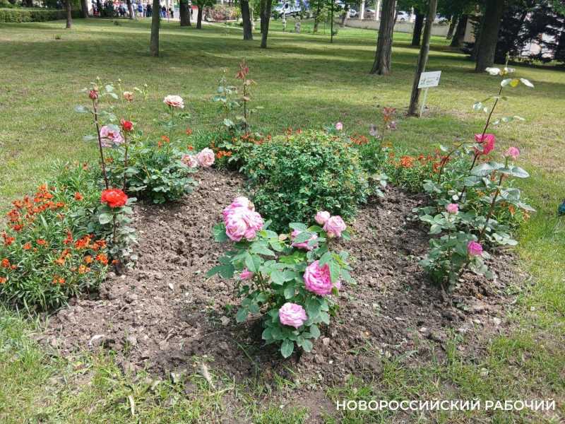Советы дня на 14 июля: о пофигистах, юристах и любимой части тела
