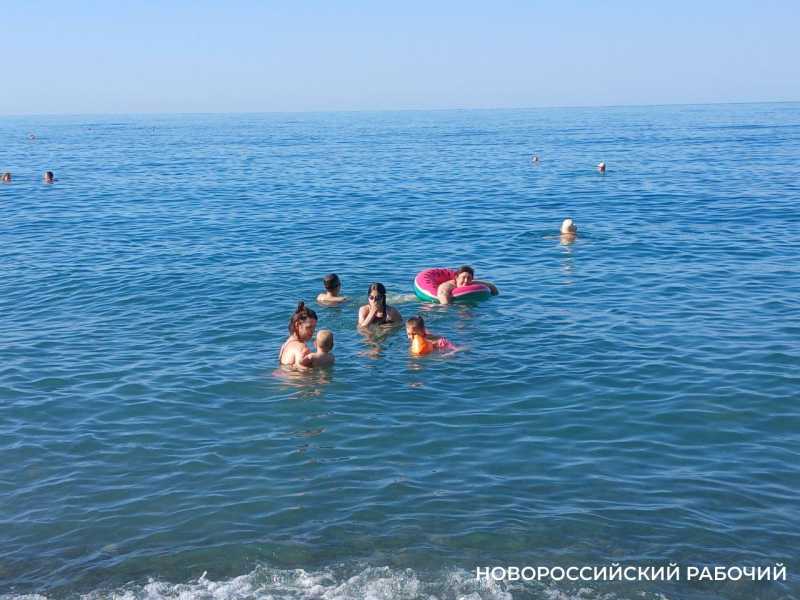 У берегов Новороссийска вода стала прохладнее. Это тот самый апвеллинг?
