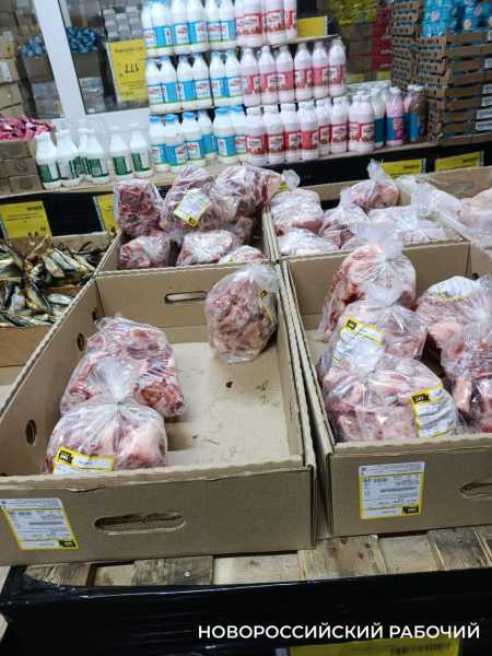 В Новороссийске бизнес вкладывается в магазины, студии массажа и ветклиники