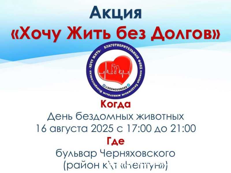 В Новороссийске хотели раздать 1 тонну корма для бездомных животных. А раздадут почти две?