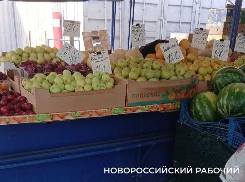 В Новороссийске яблоки нового урожая далеки от идеальных