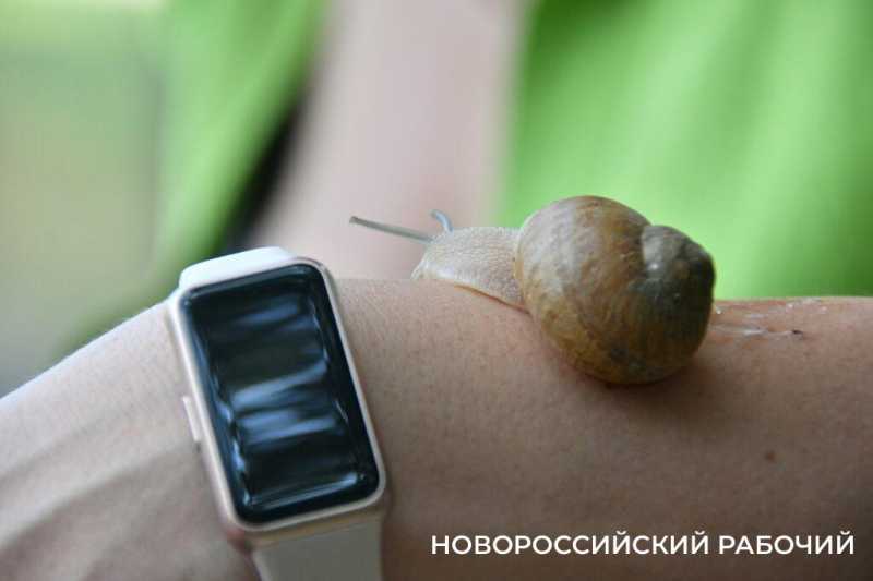 В Новороссийске прошел пресс-тур по местам, которые интересны туристам