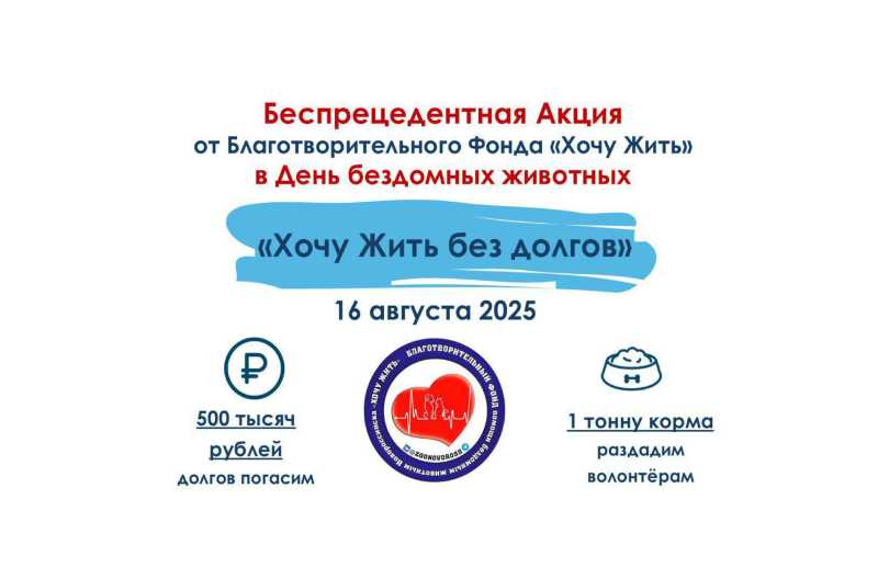 В Новороссийске раздадут 1 тонну кормов для животных