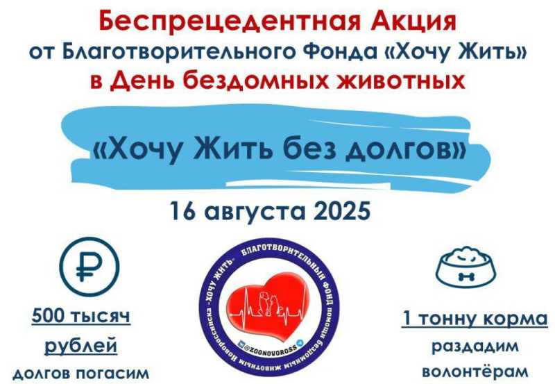 В Новороссийске раздадут 1 тонну кормов для животных