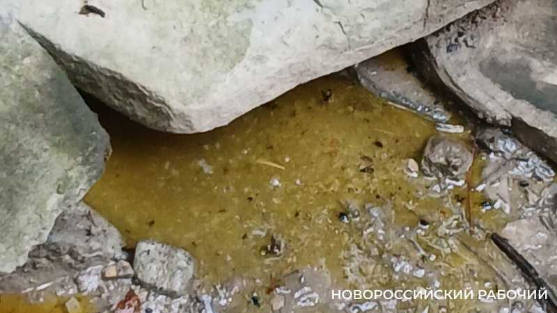 В Новороссийске забил источник солярки?
