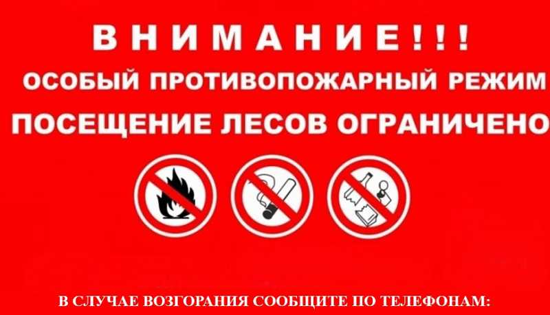 В период с 10 по 30 июля 2025 года на территории Краснодарского края введен режим ограничения пребывания граждан в лесах и въезда в них транспортных средств