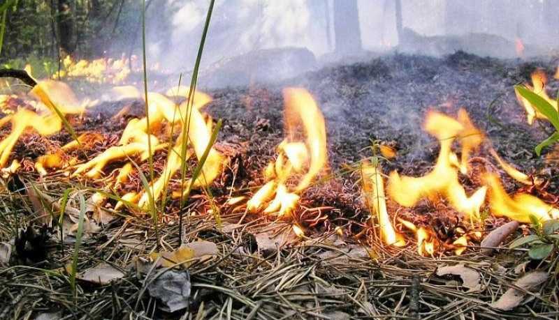 Внимание! Местами на Черноморском побережье ожидается чрезвычайная пожароопасность 5 класса