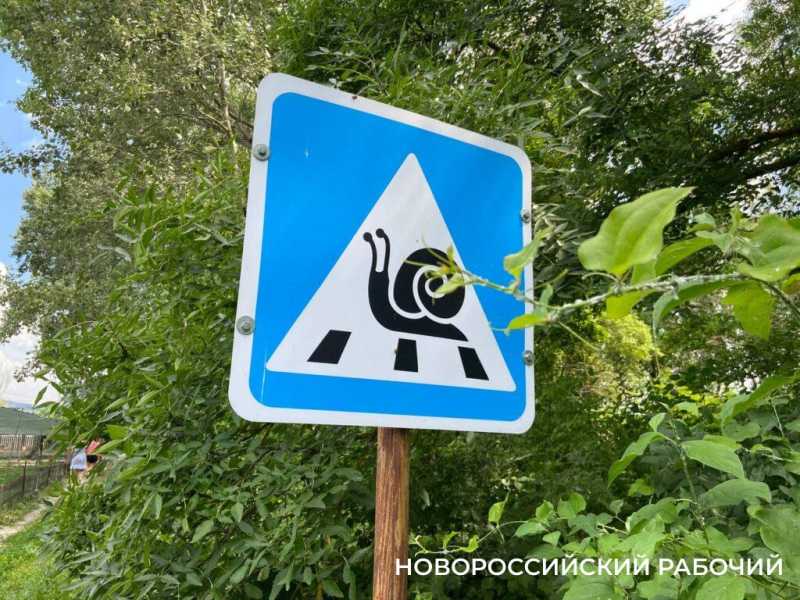 Знакомьтесь с людьми, которые знают тайны личной жизни улиток. Куда поехать отдохнуть из Новороссийска
