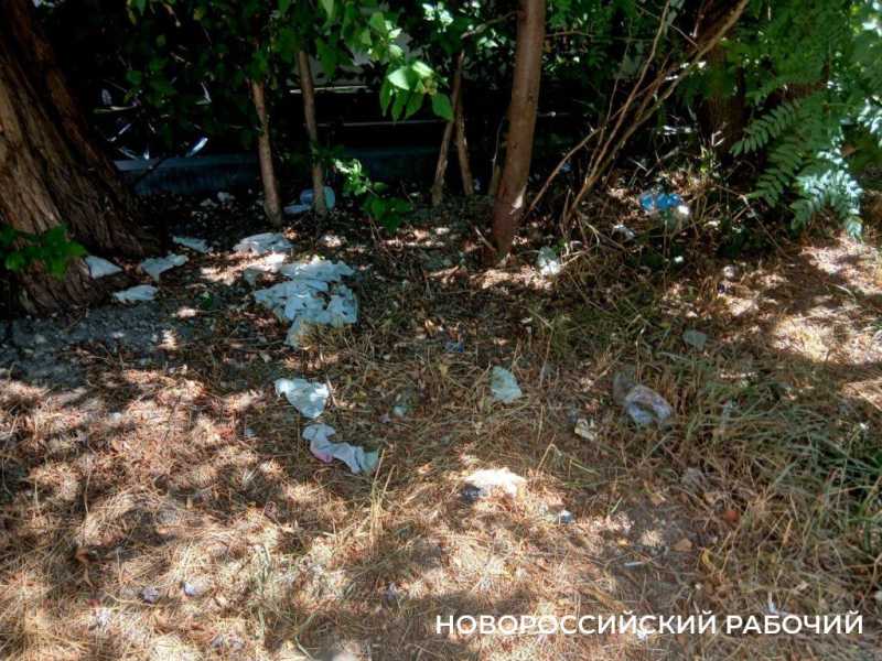 Центральная улица Новороссийска захламлена коробками и бутылками из-под водки