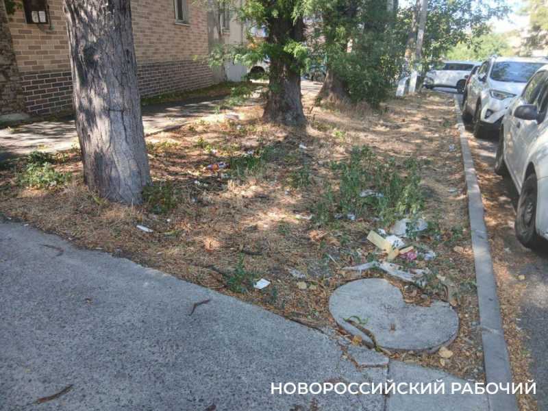 Центральная улица Новороссийска захламлена коробками и бутылками из-под водки