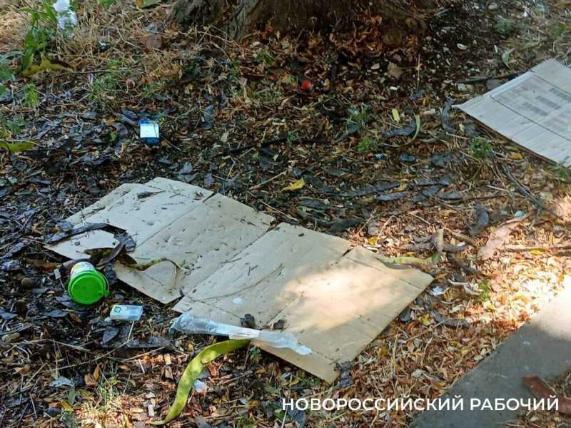 Центральная улица Новороссийска захламлена коробками и бутылками из-под водки