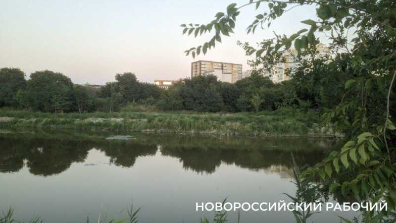 Чем обернулась неудачная очистка Южных прудов в Новороссийске. Эффект неожиданный