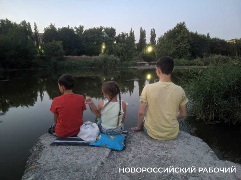 Чем обернулась неудачная очистка Южных прудов в Новороссийске. Эффект неожиданный
