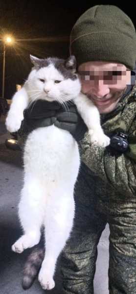 Хвостатые напарники новороссийцев в зоне СВО несут службу и помогают как могут