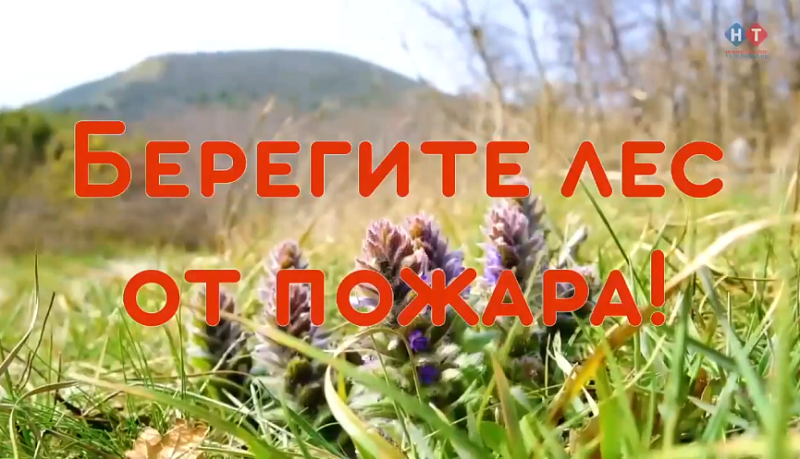 Как не допустить пожаров в лесу: соблюдайте правила противопожарной безопасности