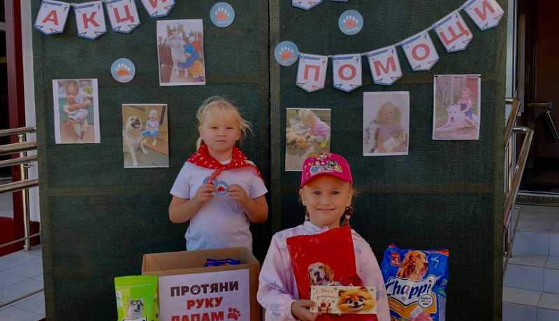 «Лапа помощи»: дошкольники Новороссийска стали участниками акции в помощь бездомных животных