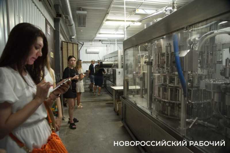 Московский подход к южному винограду. Куда поехать на выходные из Новороссийска  