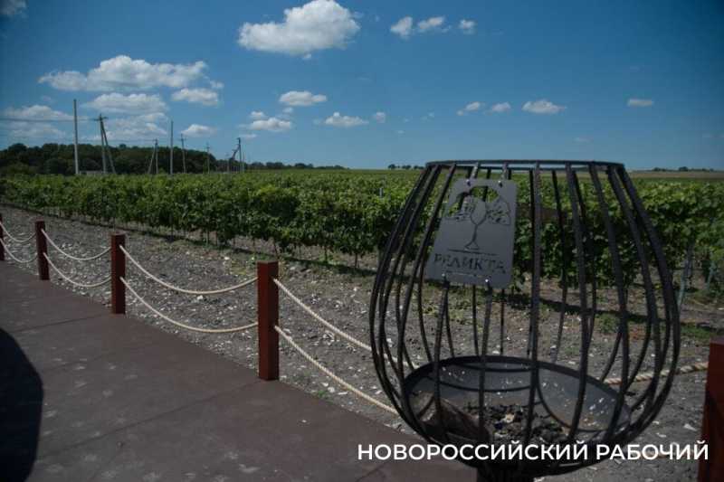 Московский подход к южному винограду. Куда поехать на выходные из Новороссийска  