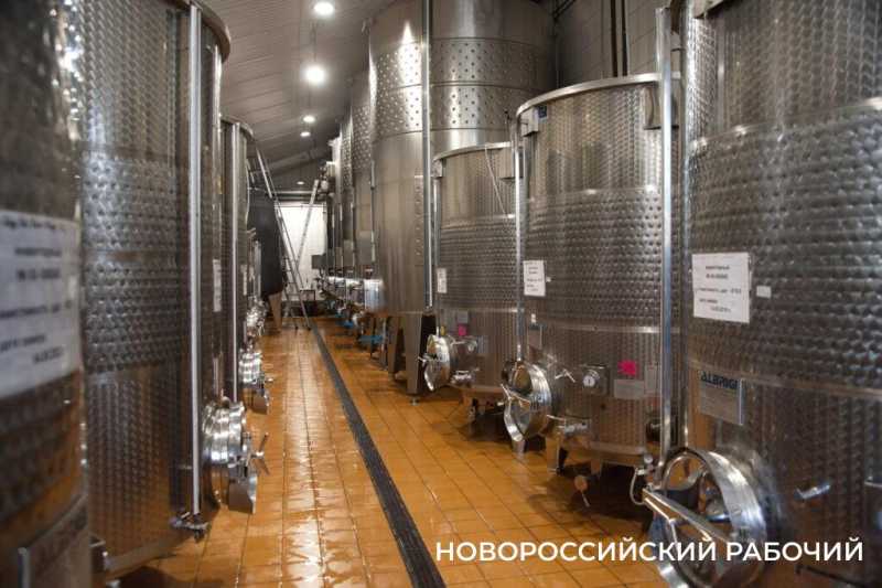 Московский подход к южному винограду. Куда поехать на выходные из Новороссийска  