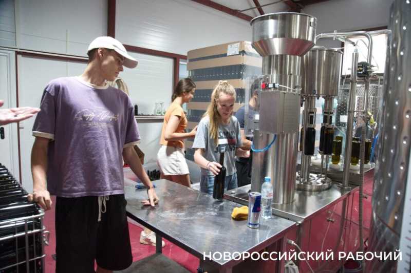 Московский подход к южному винограду. Куда поехать на выходные из Новороссийска  