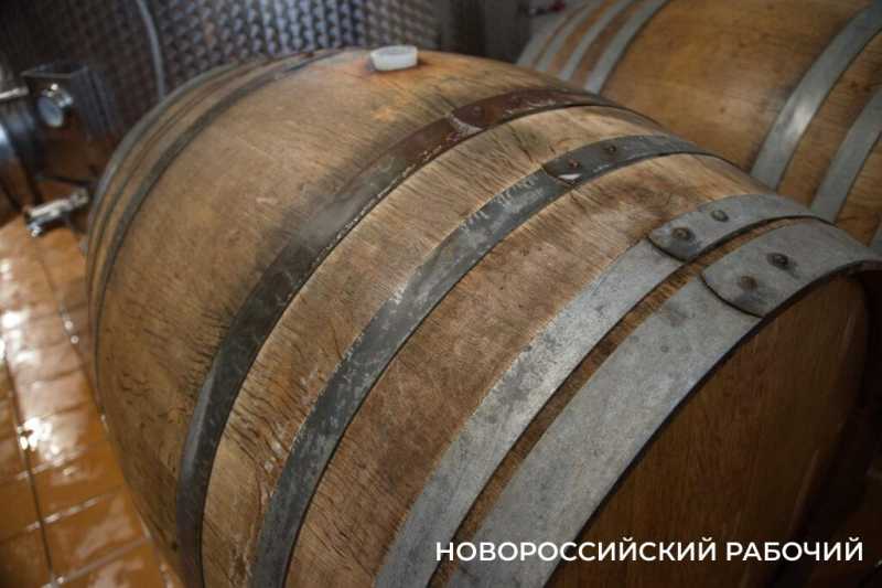 Московский подход к южному винограду. Куда поехать на выходные из Новороссийска  