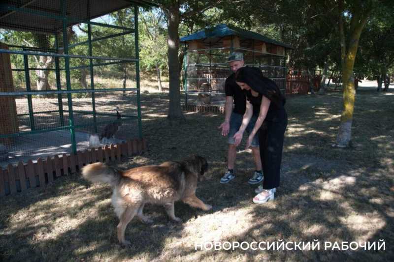 Московский подход к южному винограду. Куда поехать на выходные из Новороссийска  
