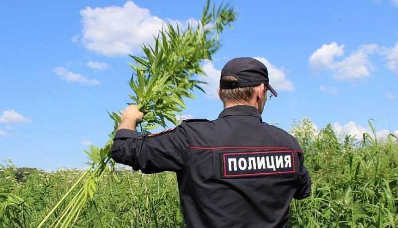 На Кубани стартует первый этап профилактической операции «Мак»